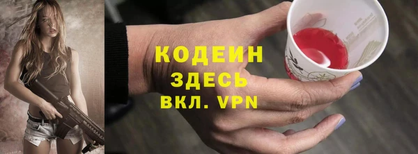 сатива Пересвет