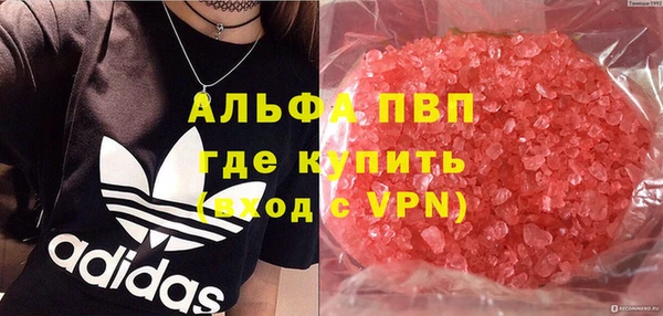 сатива Пересвет