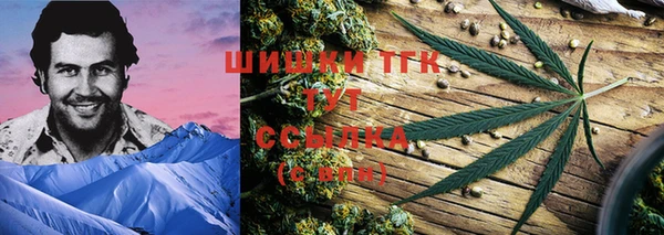 сатива Пересвет