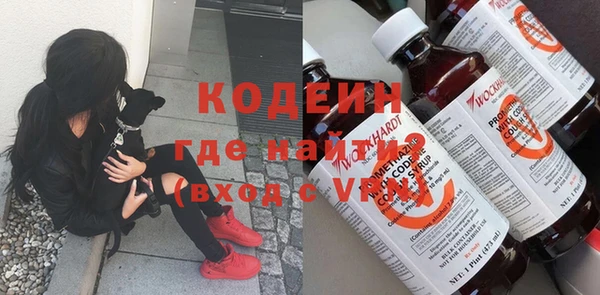 сатива Пересвет
