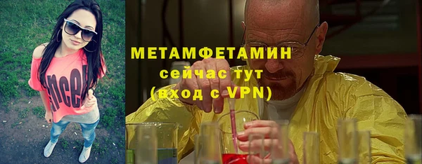 сатива Пересвет