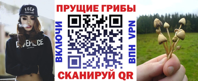 Купить где  Сибай  Псилоцибиновые грибы ЛСД 