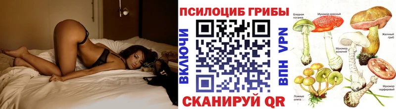Псилоцибиновые грибы Psilocybine cubensis Сибай